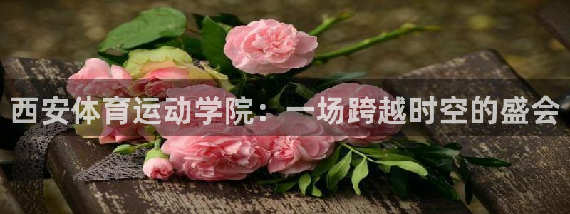 bbin视讯
