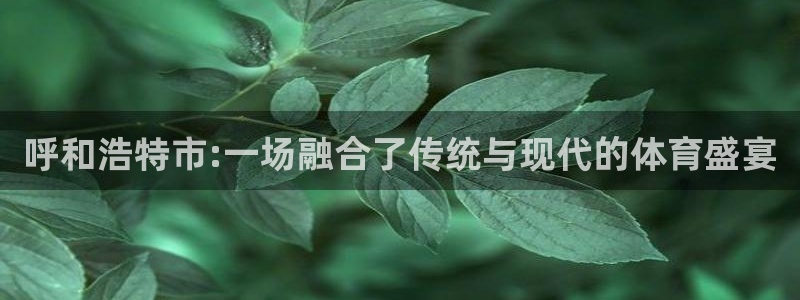 bbin视讯