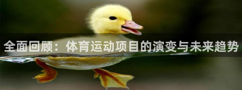 bbin视讯游戏平台
