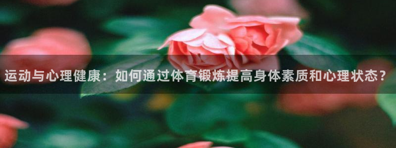 bbin视讯游戏平台