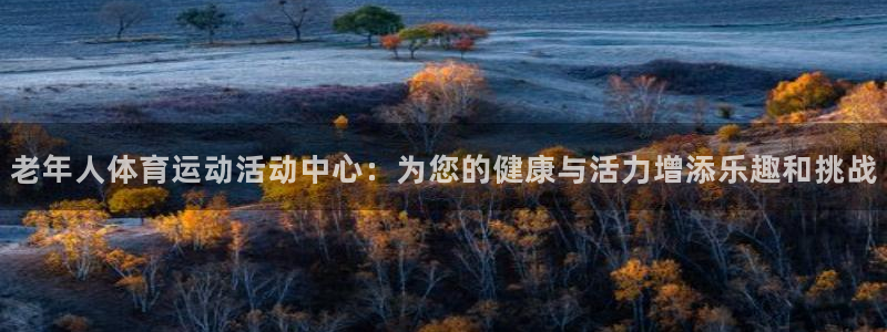 bbin视讯游戏平台：老年人体育运动活动中心：为您的健康与活力增添乐趣和挑战