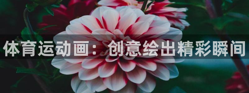 bbin视讯游戏官网