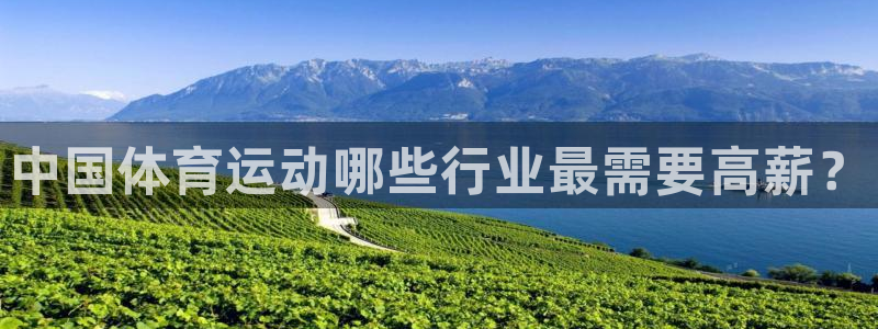 bbin视讯：中国体育运动哪些行业最需要高薪？