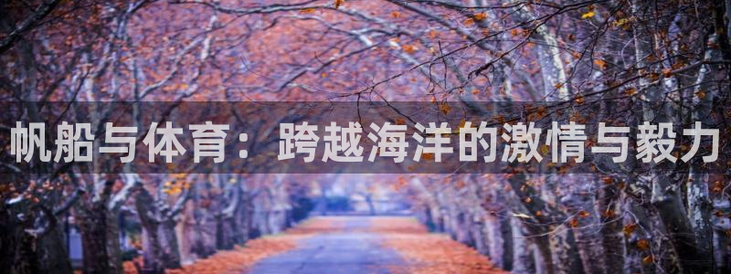 bbin视讯游戏平台：帆船与体育：跨越海洋的激情与毅力