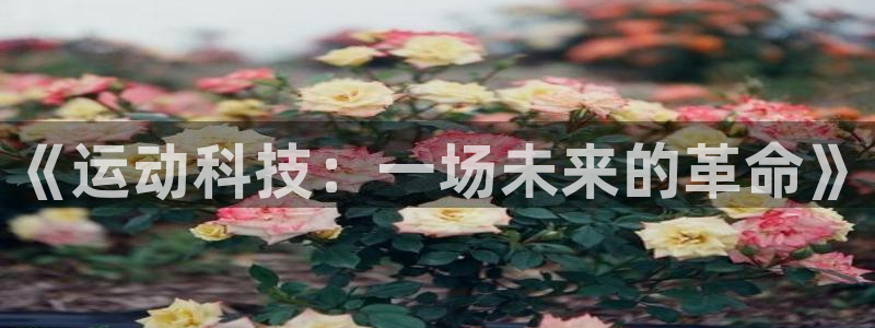 bbin视讯游戏官网