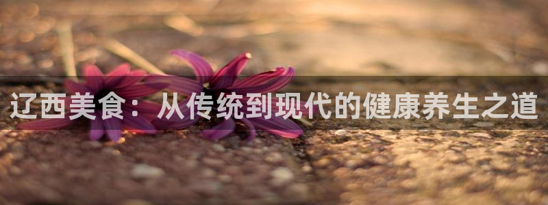 bbin视讯游戏官网：辽西美食：从传统到现代的健康养生之道