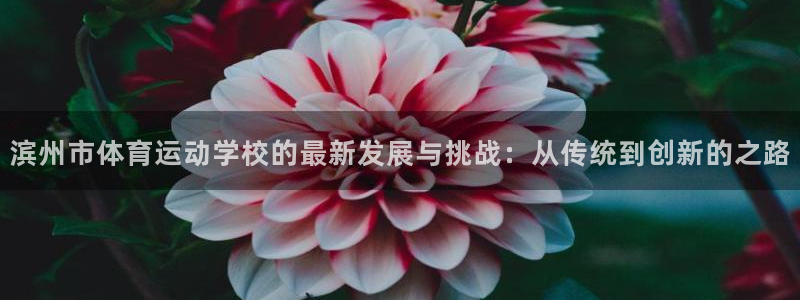 bbin视讯下