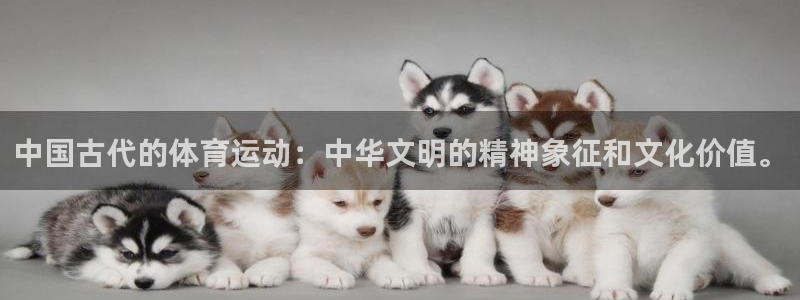 bbin视讯游戏官网