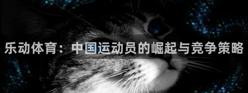 bbin视讯下