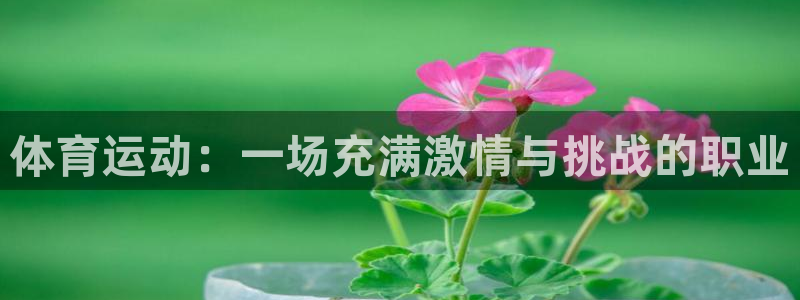 bbin视讯游戏官网